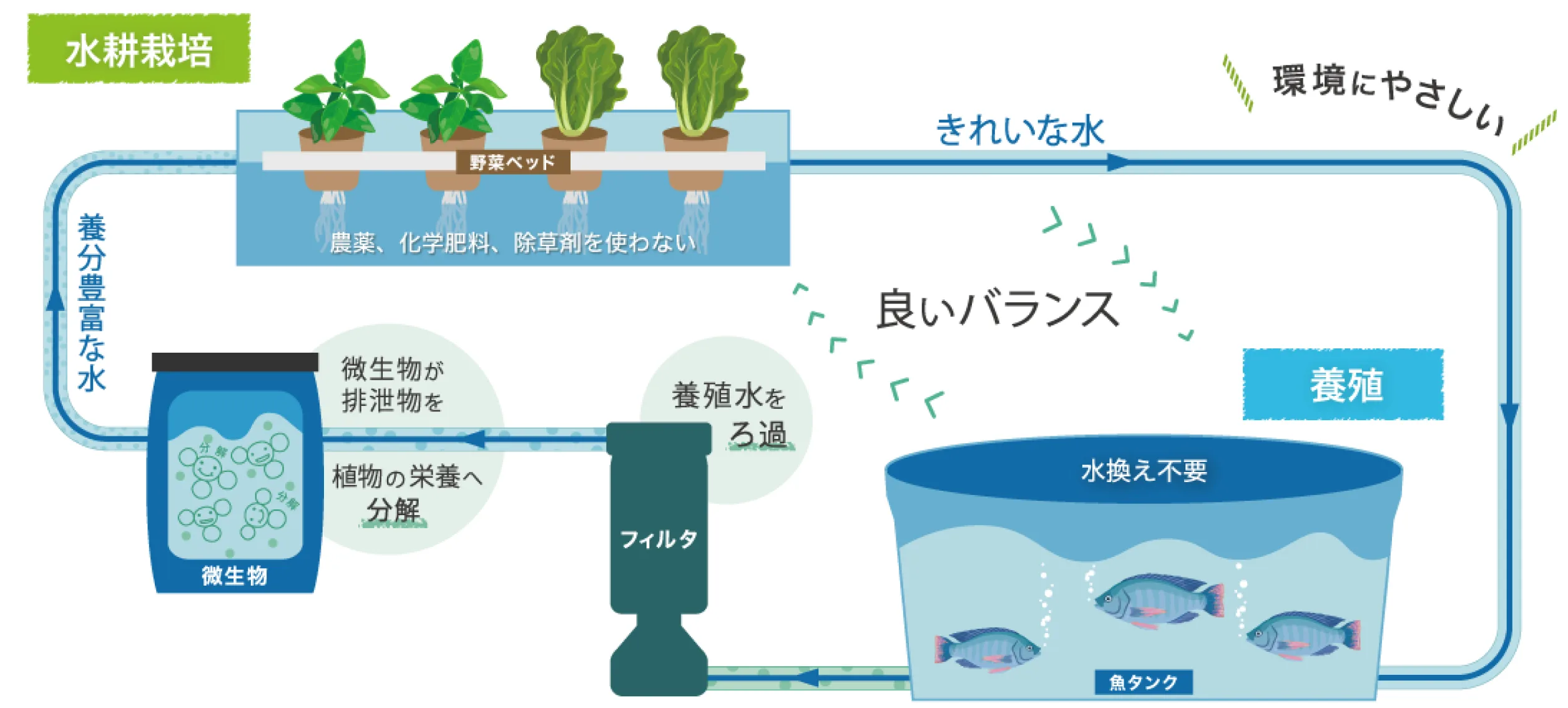 水耕栽培と養殖を掛け合わせた、次世代の持続可能な循環型農