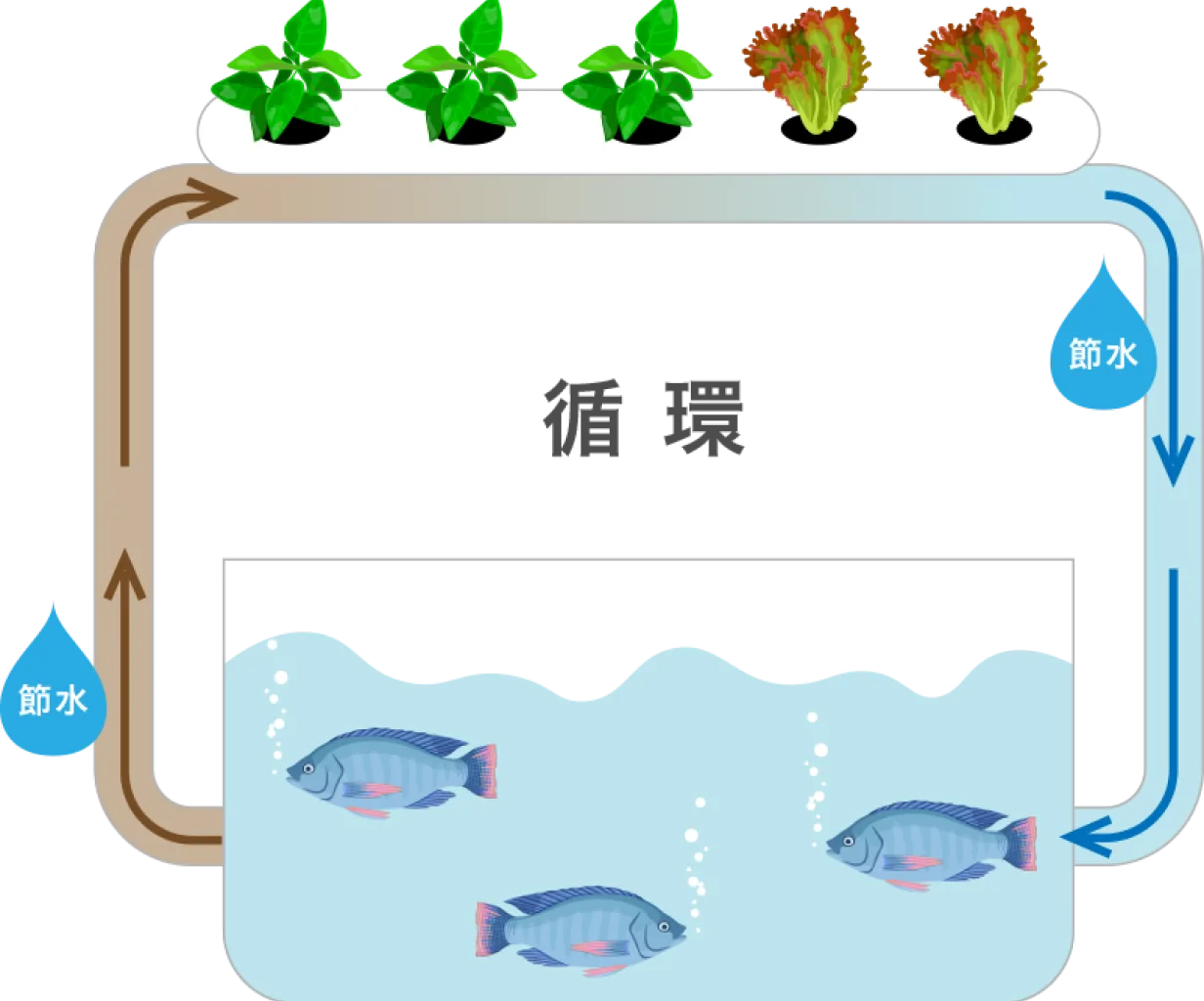 アクアポニックスのシステム