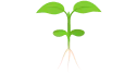 苗