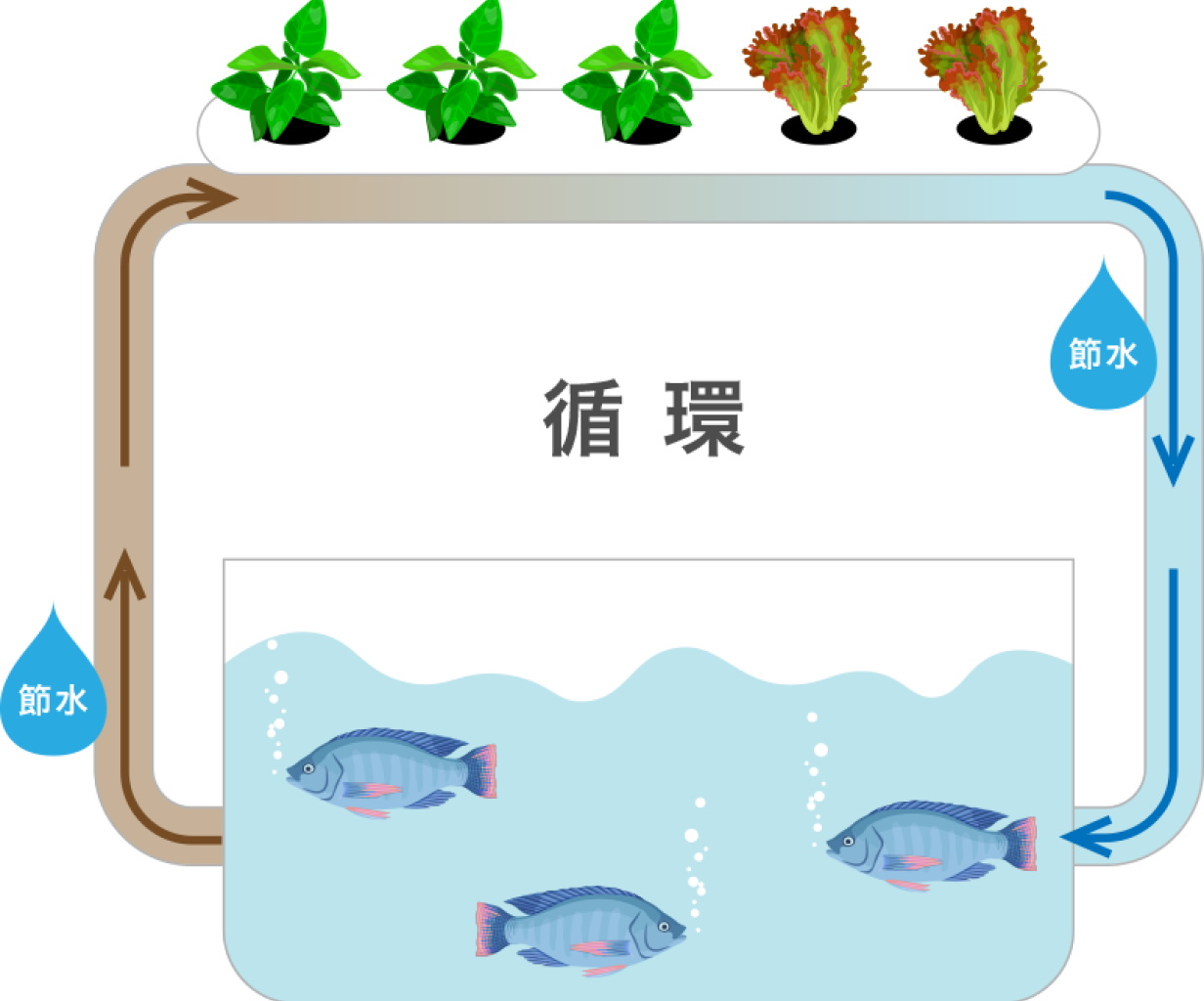 アクアポニックスのシステム