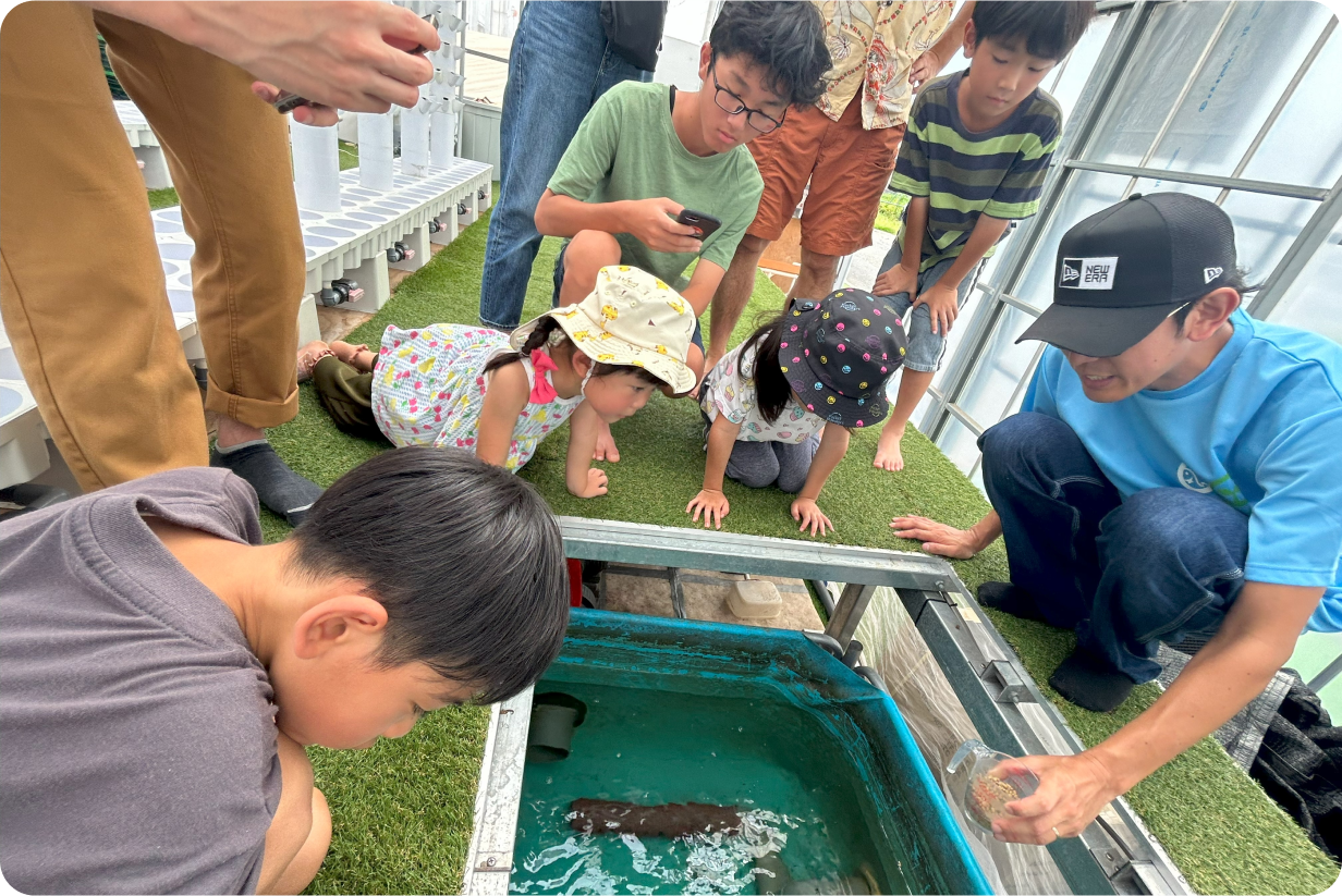 餌やり