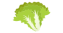 葉物