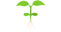 苗