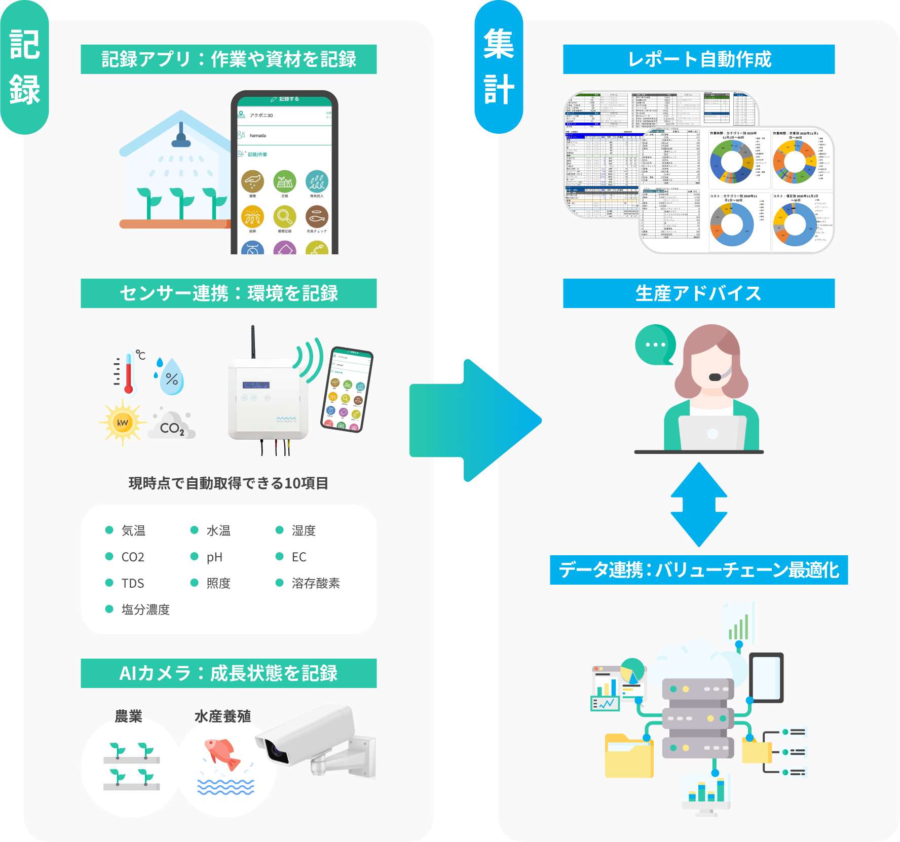 記録と集計